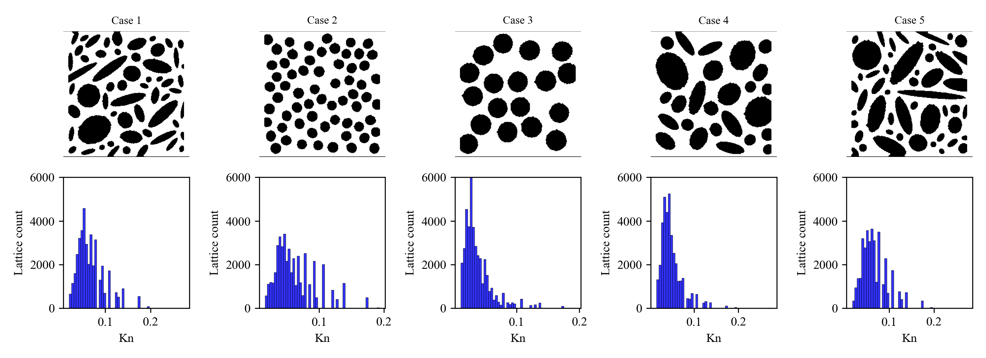 FHKN training cases: pore geometries and Knudsen number distributions
